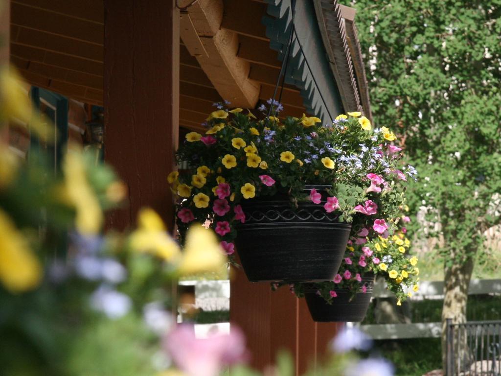 Ouray Inn Exterior photo